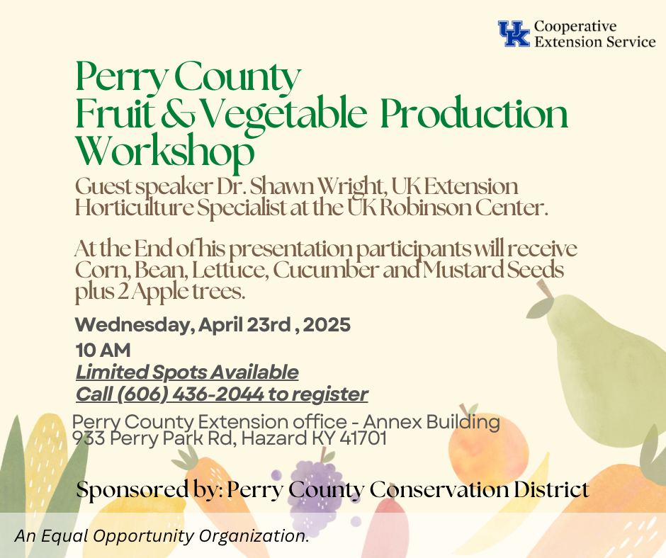 Fruit and Vegetable Workshop