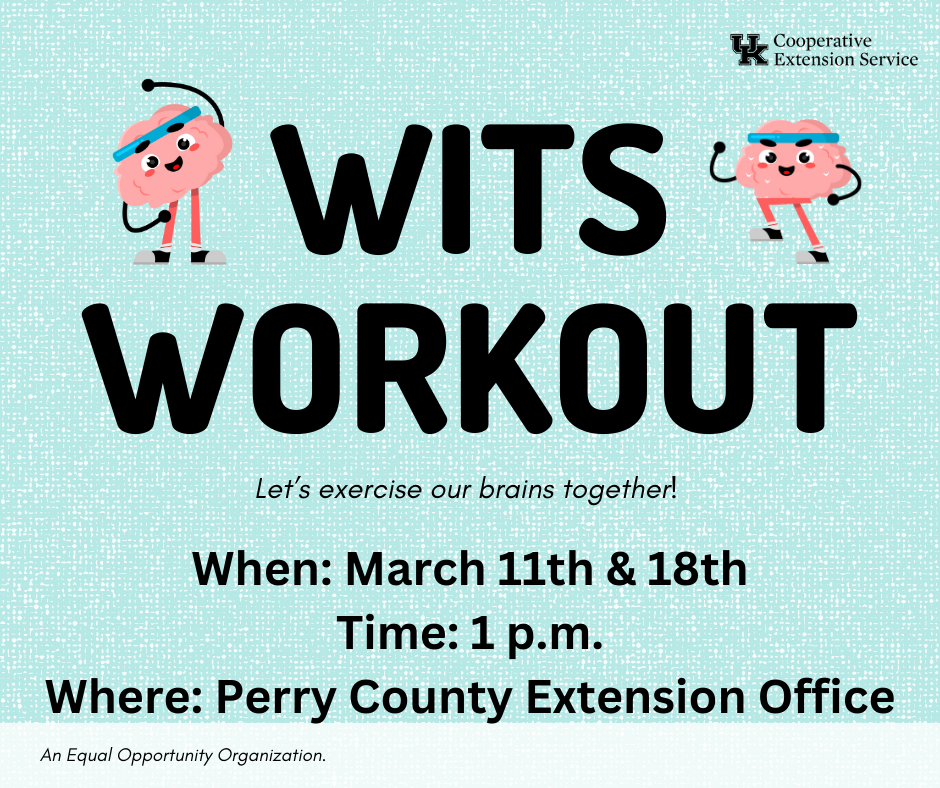 Wits Workout