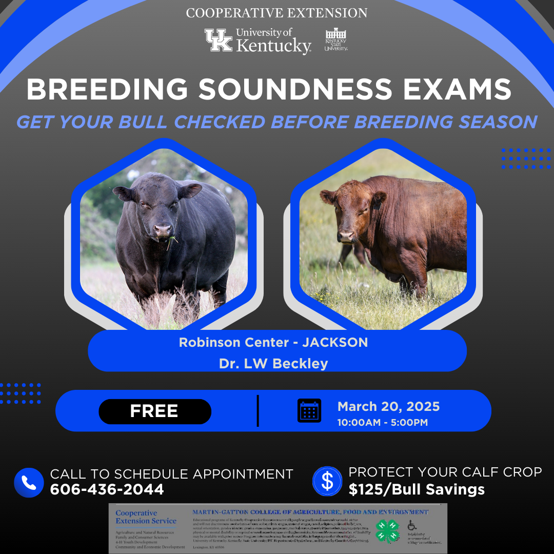 Breeding Soundness  Exams