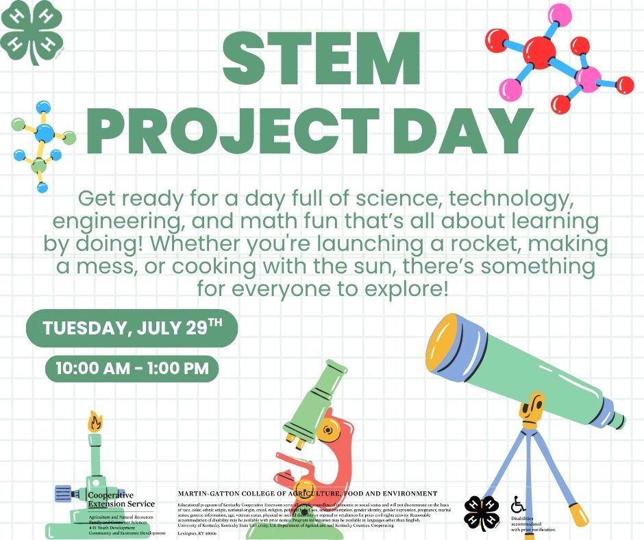 Stem Project Day